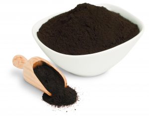 shilajit powder